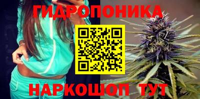 PSILOCYBIN Дубна