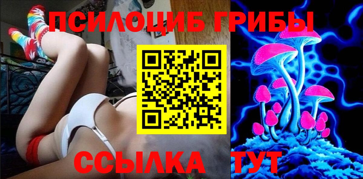 купить   Псилоцибиновые грибы MAGIC MUSHROOMS  Вход с VPN  Псилоцибиновые грибы GOLDEN TEACHER  Малгобек 